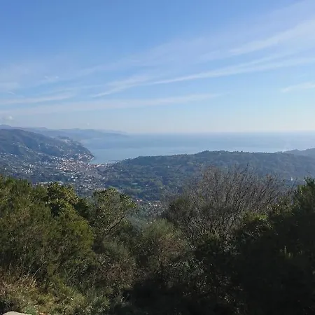 In The Historic Center, 80 M From The Sea Rapallo