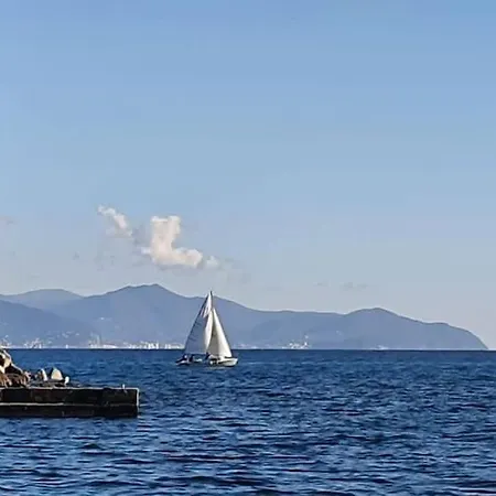 Bilocale Nel Centro Storico * Rapallo