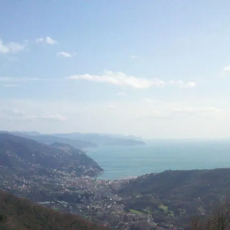 Daire Bilocale Nel Centro Storico *